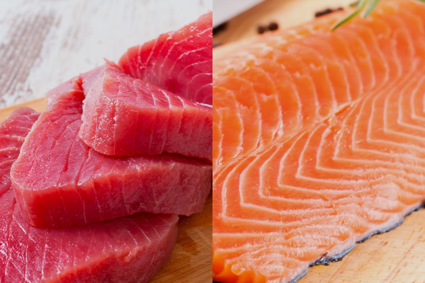 Atun vs Salmón: Cuál es el Rey del Sushi? 