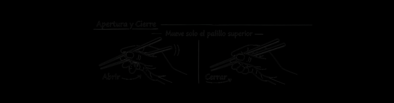 Cómo usar palillos para sushi: guía fácil de etiqueta y disfrute en Sushisom