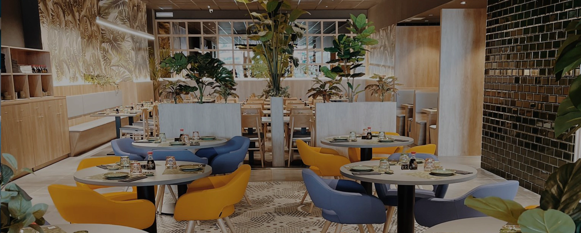 Sala con plantas y sillas de colores — Sushisom Santander Bahía Real